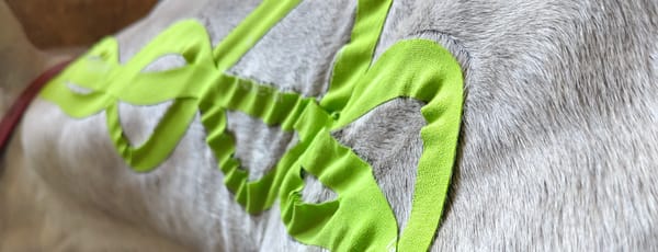Bunte Magie: Kinesiologische Tapes